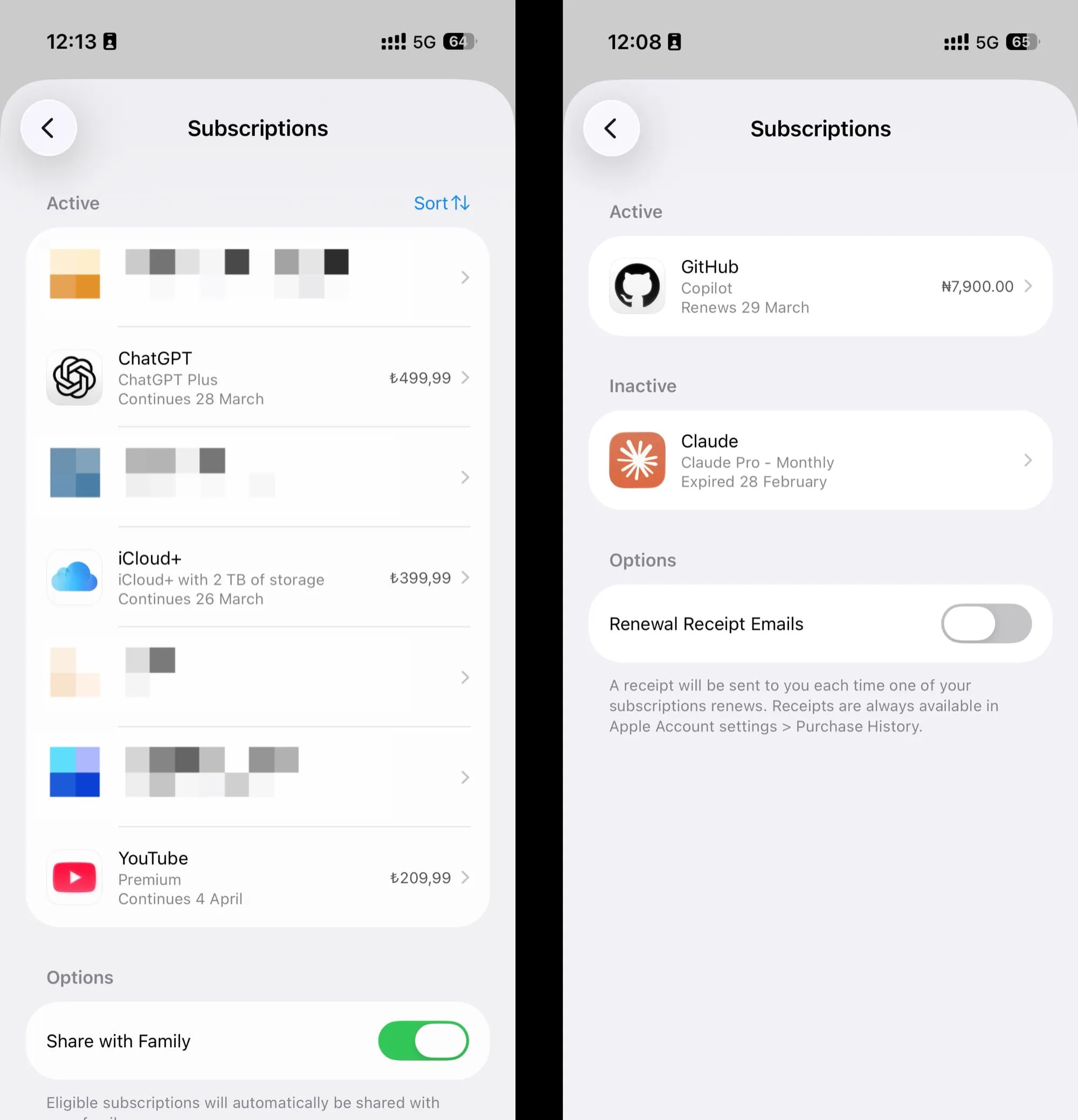 App Store 订阅列表截图